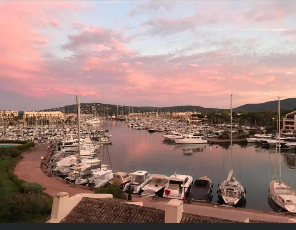 Mon Ecrin Sur La Marina Du Golfe De St Tropez Apartment Cogolin